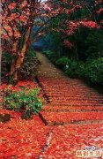 社交障碍治疗_社交障碍表现