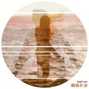 4 田旋花