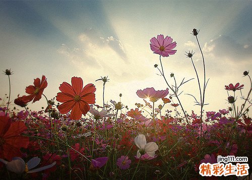 怎么缓解秋燥