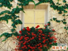 中国女人为何总想嫁给外国男人