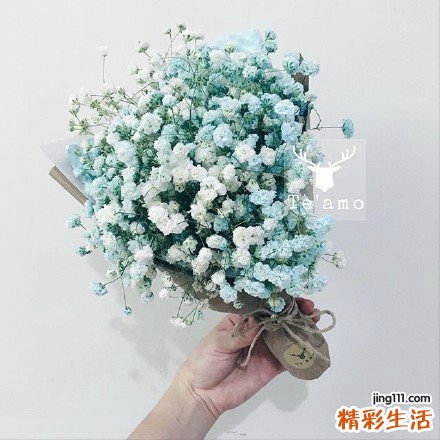 2 四大类型不完美胸部的美胸策略