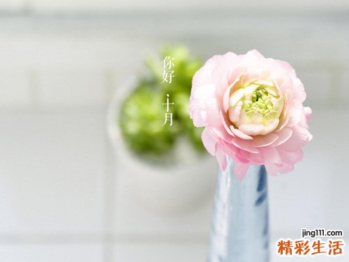 2 黎辣根