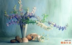 肛周炎的症状，肛周炎的早期症状，并发症