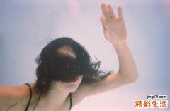 4 杓儿菜