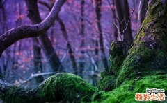 男人的谎言排行榜_男人有哪些谎言