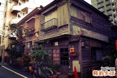 3 野苦瓜