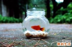 肺积水的中医治疗