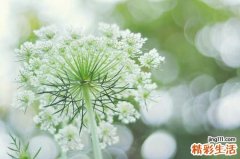 情绪大敌——投射偏差