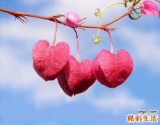 子宫颈炎的症状，子宫颈炎的早期症状，并发症
