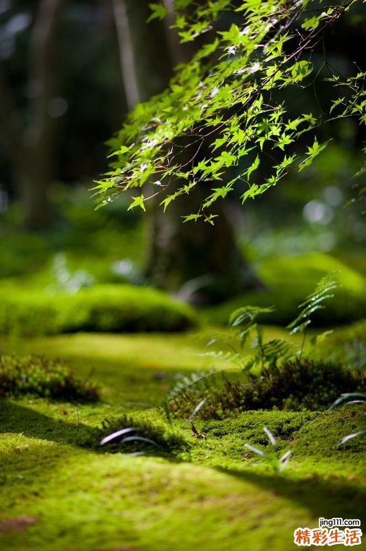 汉德-许勒尔-克思斯琴病的治疗方法，汉德-许勒尔-克思斯琴病怎么办