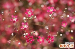 无机盐所致的皮肤病病因，无机盐所致的皮肤病的原因