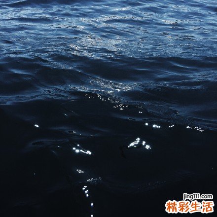 卡氏肺囊虫肺炎的治疗方法，卡氏肺囊虫肺炎怎么办