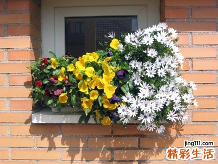 混合结缔组织病的治疗方法，混合结缔组织病怎么办