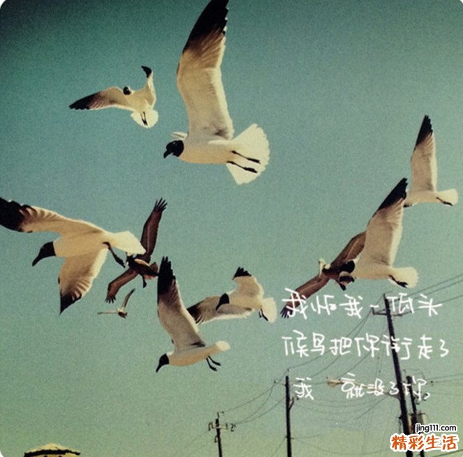 色素斑病因，色素斑的原因