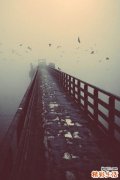 分流性高胆红素血症综合征检查，分流性高胆红素血症综合征如何诊断鉴别