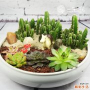 徐动型脑瘫怎么治疗才好呢
