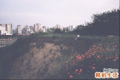 假体隆胸带来的后遗症
