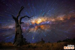 儿童白发的原因都有哪些