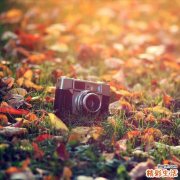 年轻人如何治疗白发 了解清楚导致白发出现的原因