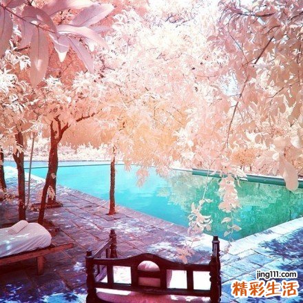 名医徐宝华患者答疑：健康每一天 从爱牙开始