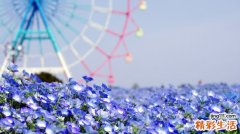 脑出血后遗症会造成哪些影响？