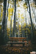 慢性寻麻疹怎么治疗
