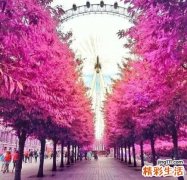 泛发性毛囊错构瘤引发什么疾病