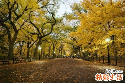 了解疤痕的概念和危害性