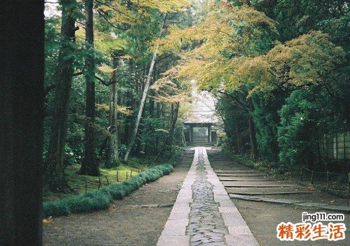 生殖疱疹症状是什么