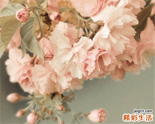 麻疹会带来什么并发症