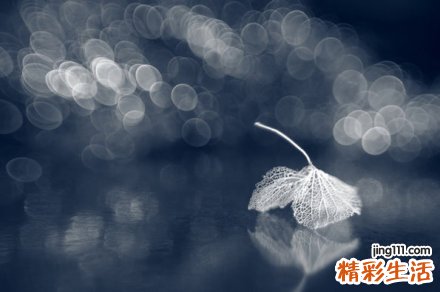 鼻子毛囊炎怎么治 你是否了解