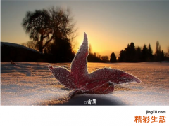神经性皮炎的危害有哪些