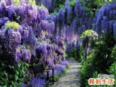 神经性皮炎危害介绍