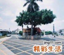 多形红斑并发症
