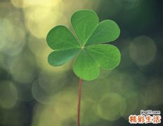 染色体异常伴发的精神障碍检查，染色体异常伴发的精神障碍如何诊断鉴别