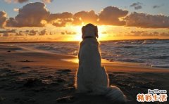 睡觉打呼噜磨牙怎么办 睡觉磨牙的三大解决办法