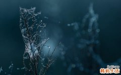慢性鼻窦炎有哪些并发症？