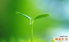 医学解析轻微宫颈糜烂需要治疗吗