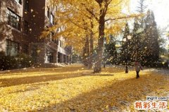 宫颈糜烂三度必须做手术吗 宫颈糜烂治疗方法