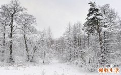 缺血性肠绞痛检查，缺血性肠绞痛如何诊断鉴别
