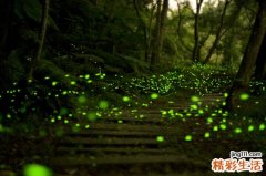 湿疣是什么 症状主要是哪些