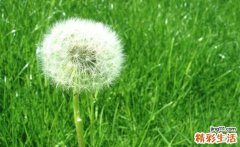 维生素D中毒症检查，维生素D中毒症如何诊断鉴别