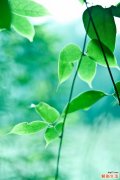 了解白发形成的原因 能进行治疗吗