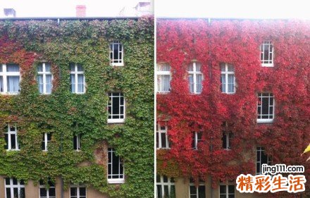 手部神经损伤引发什么疾病