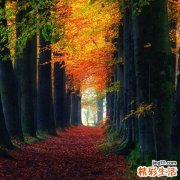 晚上失眠多梦4大因素需注意