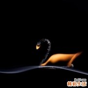 甲沟炎和甲下脓肿引发什么疾病