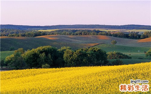 小儿骶尾部畸胎瘤可以并发哪些疾病？