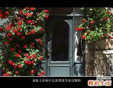 输卵管积水会对女性造成什么危害