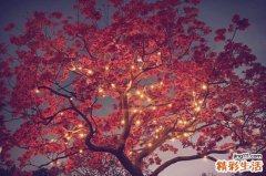 慢性附件炎導致什么并發(fā)癥