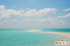 肺动静脉瘤吃什么好，肺动静脉瘤不能吃什么